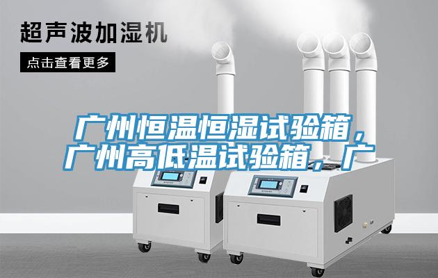 廣州恒溫恒濕試驗(yàn)箱，廣州高低溫試驗(yàn)箱，廣