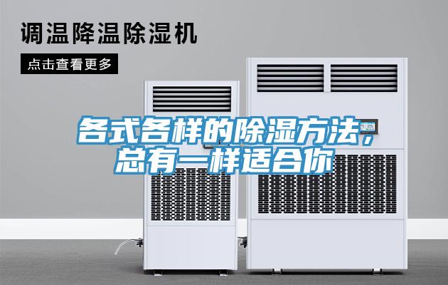 各式各樣的除濕方法，總有一樣適合你