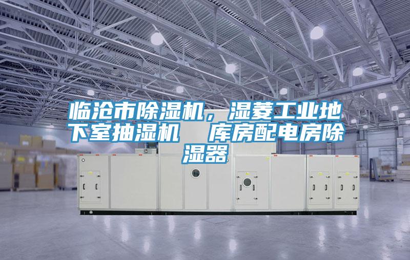臨滄市除濕機，濕菱工業(yè)地下室抽濕機  庫房配電房除濕器