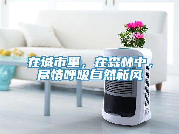 在城市里，在森林中，盡情呼吸自然新風(fēng)