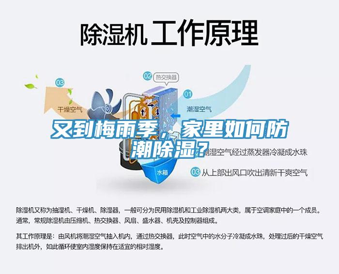 又到梅雨季，家里如何防潮除濕？
