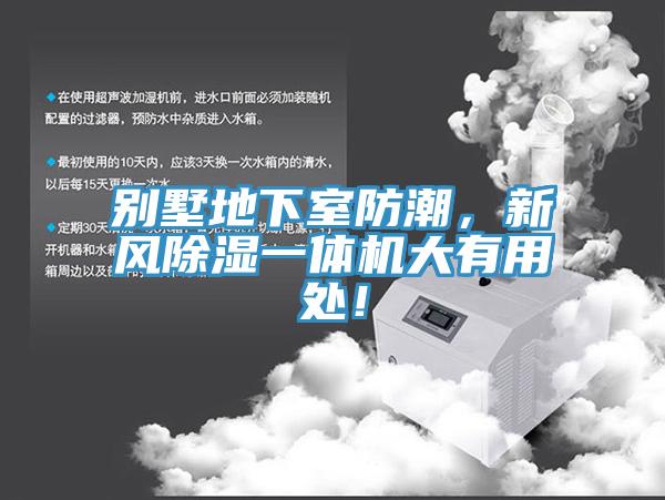 別墅地下室防潮，新風(fēng)除濕一體機(jī)大有用處！