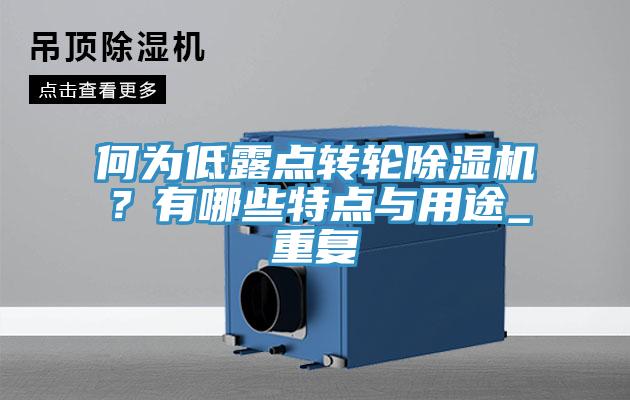 何為低露點轉(zhuǎn)輪除濕機？有哪些特點與用途_重復