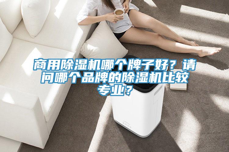 商用除濕機(jī)哪個(gè)牌子好？請(qǐng)問(wèn)哪個(gè)品牌的除濕機(jī)比較專(zhuān)業(yè)？