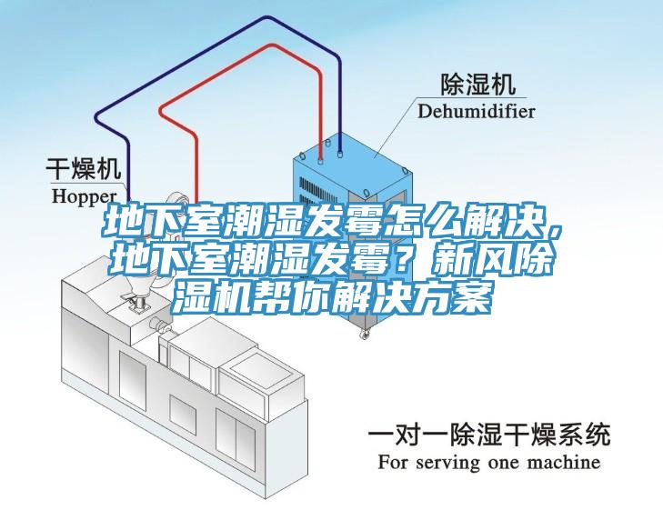 地下室潮濕發(fā)霉怎么解決，地下室潮濕發(fā)霉？新風(fēng)除濕機(jī)幫你解決方案