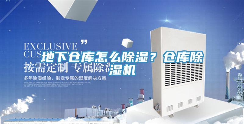地下倉庫怎么除濕？倉庫除濕機(jī)