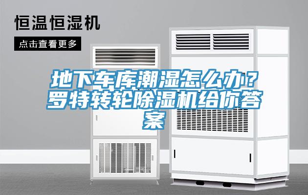 地下車庫潮濕怎么辦？羅特轉(zhuǎn)輪除濕機(jī)給你答案
