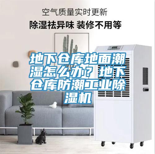 地下倉庫地面潮濕怎么辦？地下倉庫防潮工業(yè)除濕機(jī)