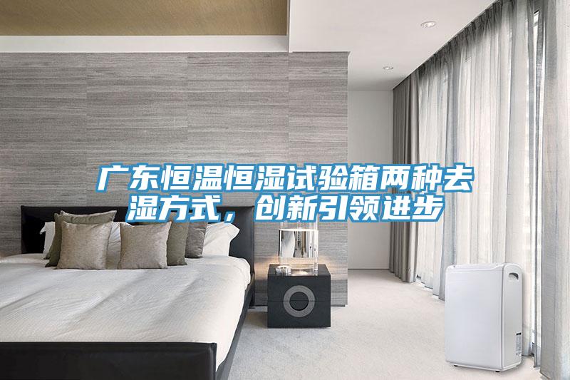 廣東恒溫恒濕試驗(yàn)箱兩種去濕方式，創(chuàng)新引領(lǐng)進(jìn)步
