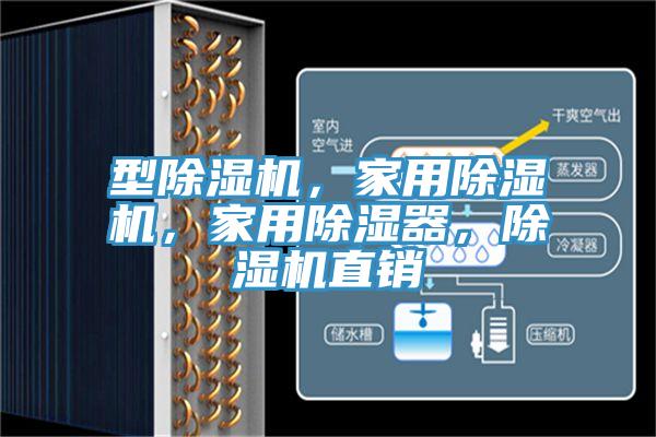 型除濕機(jī)，家用除濕機(jī)，家用除濕器，除濕機(jī)直銷