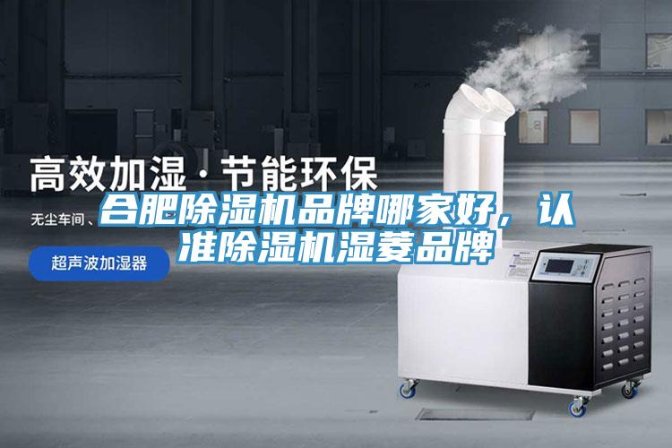 合肥除濕機品牌哪家好，認準除濕機濕菱品牌