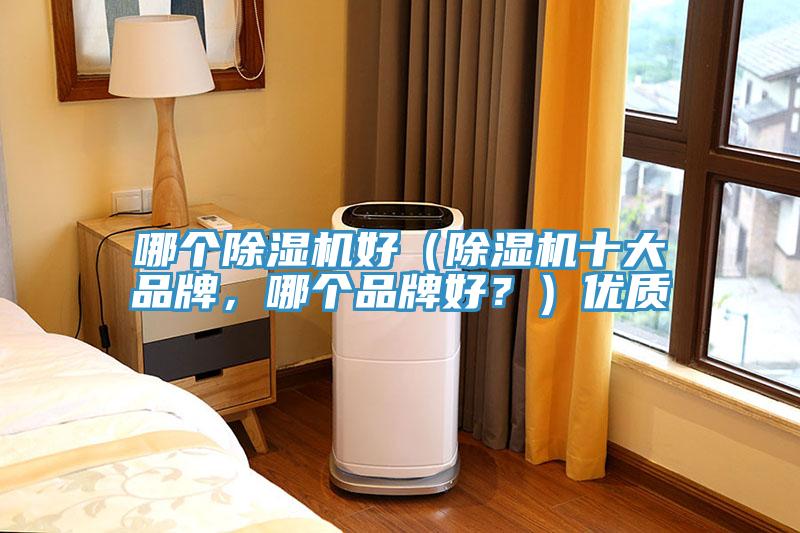 哪個除濕機好（除濕機十大品牌，哪個品牌好？）優(yōu)質