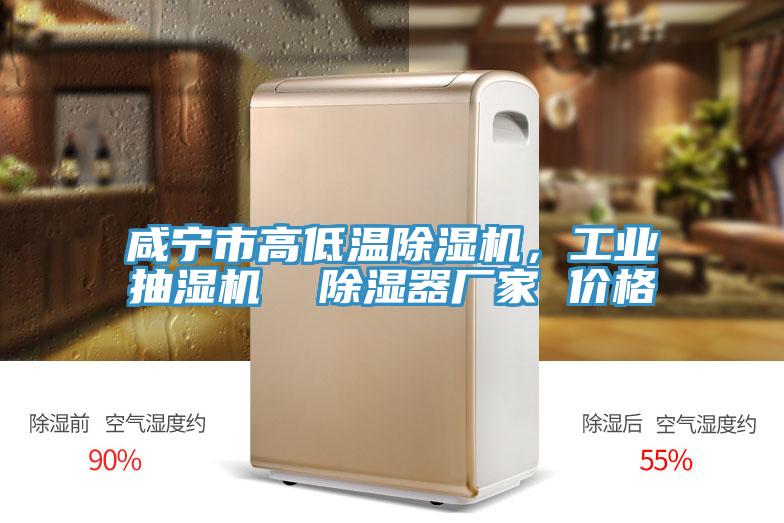 咸寧市高低溫除濕機(jī)，工業(yè)抽濕機(jī)  除濕器廠家 價(jià)格