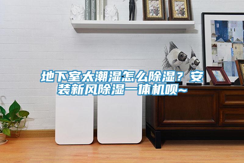 地下室太潮濕怎么除濕？安裝新風(fēng)除濕一體機(jī)唄~