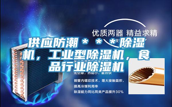供應防潮＊＊＊除濕機，工業(yè)型除濕機，食品行業(yè)除濕機