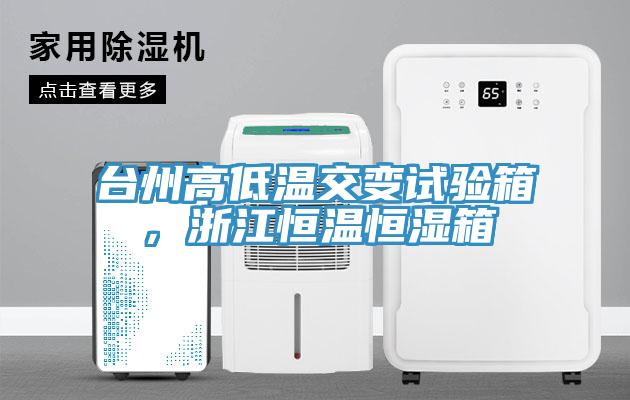 臺州高低溫交變試驗箱，浙江恒溫恒濕箱