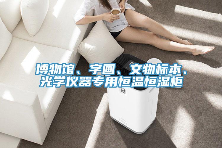 博物館、字畫、文物標(biāo)本、光學(xué)儀器專用恒溫恒濕柜