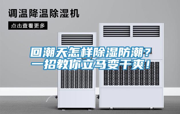 回潮天怎樣除濕防潮？一招教你立馬變干爽！