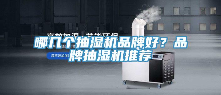 哪幾個抽濕機品牌好？品牌抽濕機推薦