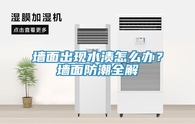 墻面出現(xiàn)水漬怎么辦？墻面防潮全解