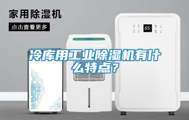 冷庫(kù)用工業(yè)除濕機(jī)有什么特點(diǎn)？