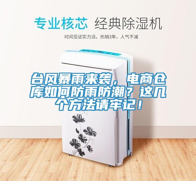 臺(tái)風(fēng)暴雨來襲，電商倉庫如何防雨防潮？這幾個(gè)方法請(qǐng)牢記！