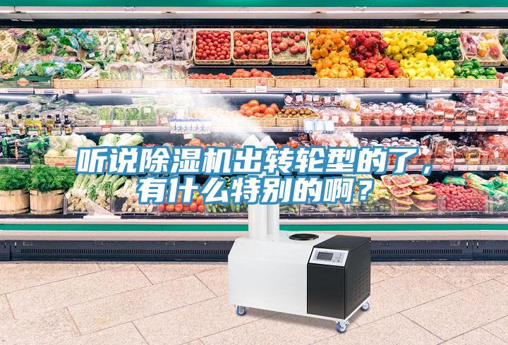 聽說(shuō)除濕機(jī)出轉(zhuǎn)輪型的了，有什么特別的??？