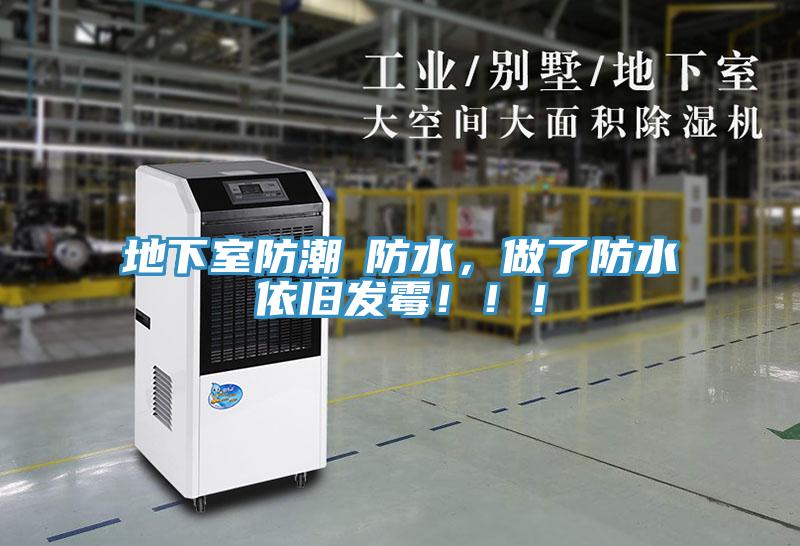 地下室防潮≠防水，做了防水依舊發(fā)霉！??！