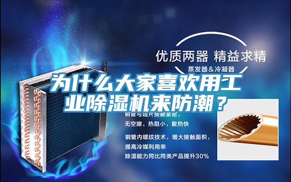 為什么大家喜歡用工業(yè)除濕機(jī)來防潮？