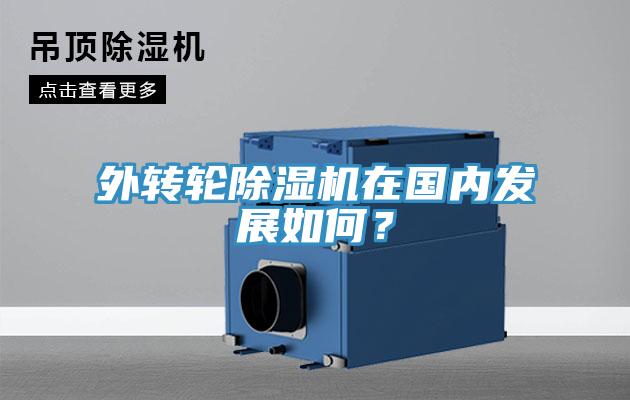 外轉(zhuǎn)輪除濕機(jī)在國(guó)內(nèi)發(fā)展如何？