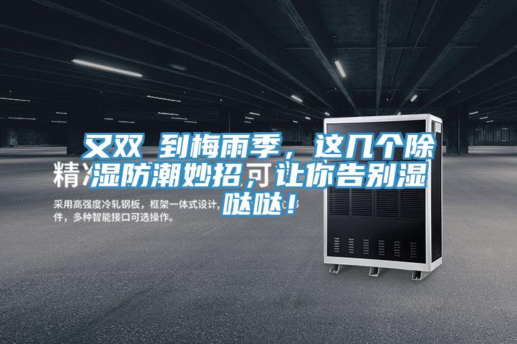 又雙叒到梅雨季，這幾個除濕防潮妙招，讓你告別濕噠噠！