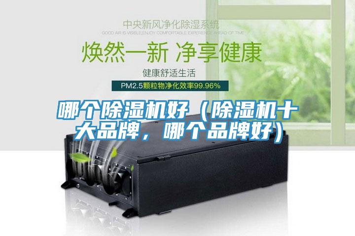 哪個除濕機好（除濕機十大品牌，哪個品牌好）
