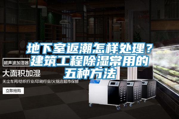 地下室返潮怎樣處理？建筑工程除濕常用的五種方法