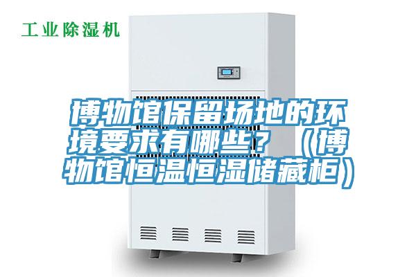博物館保留場(chǎng)地的環(huán)境要求有哪些？（博物館恒溫恒濕儲(chǔ)藏柜）