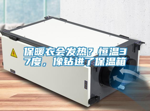 保暖衣會(huì)發(fā)熱？恒溫37度，像鉆進(jìn)了保溫箱