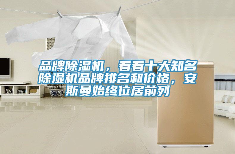 品牌除濕機，看看十大知名除濕機品牌排名和價格，安斯曼始終位居前列