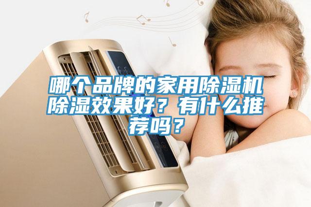 哪個品牌的家用除濕機除濕效果好？有什么推薦嗎？