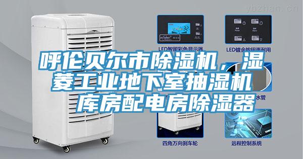 呼倫貝爾市除濕機(jī)，濕菱工業(yè)地下室抽濕機(jī)  庫(kù)房配電房除濕器