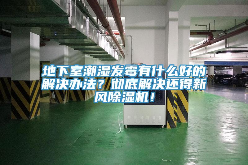 地下室潮濕發(fā)霉有什么好的解決辦法？徹底解決還得新風(fēng)除濕機(jī)！
