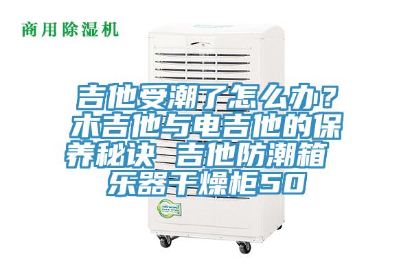 吉他受潮了怎么辦？木吉他與電吉他的保養(yǎng)秘訣 吉他防潮箱 樂(lè)器干燥柜50