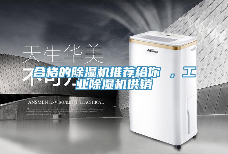 合格的除濕機(jī)推薦給你 ，工業(yè)除濕機(jī)供銷