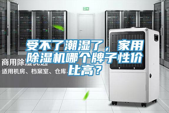 受不了潮濕了，家用除濕機哪個牌子性價比高？