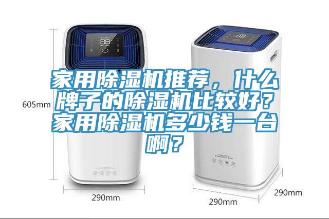 家用除濕機(jī)推薦，什么牌子的除濕機(jī)比較好？家用除濕機(jī)多少錢一臺(tái)?。?></div>
								<div   id=