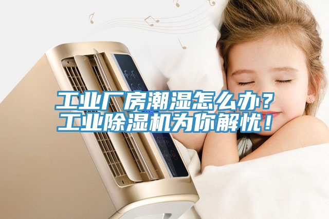 工業(yè)廠房潮濕怎么辦？工業(yè)除濕機為你解憂！