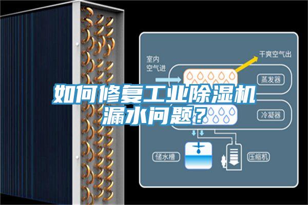 如何修復工業(yè)除濕機漏水問題？