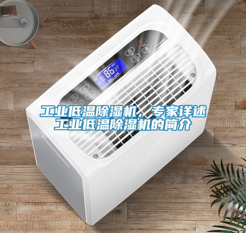 工業(yè)低溫除濕機(jī)，專(zhuān)家詳述工業(yè)低溫除濕機(jī)的簡(jiǎn)介