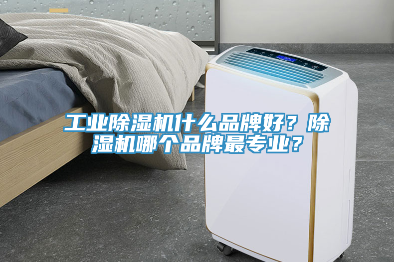 工業(yè)除濕機(jī)什么品牌好？除濕機(jī)哪個(gè)品牌最專業(yè)？
