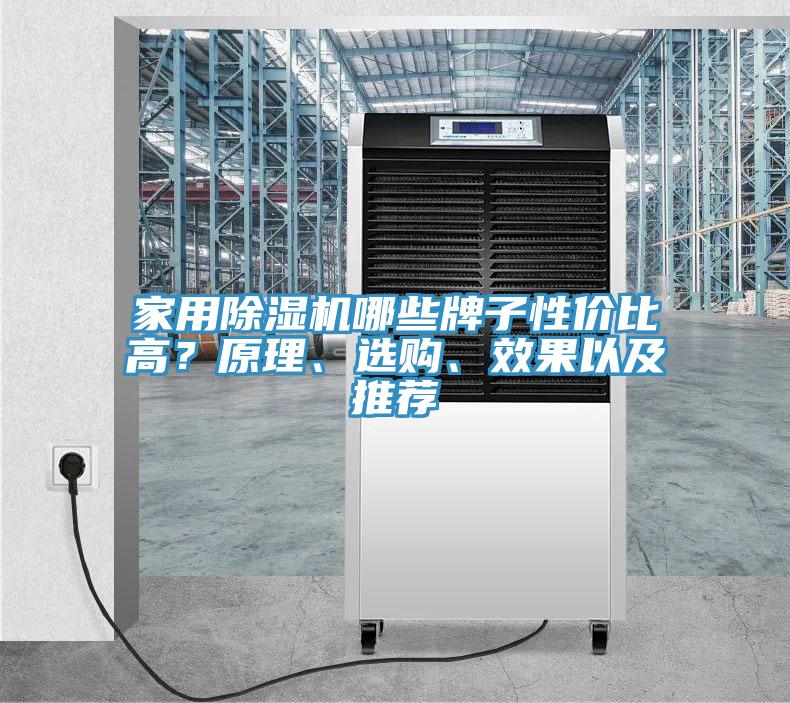 家用除濕機哪些牌子性價比高？原理、選購、效果以及推薦