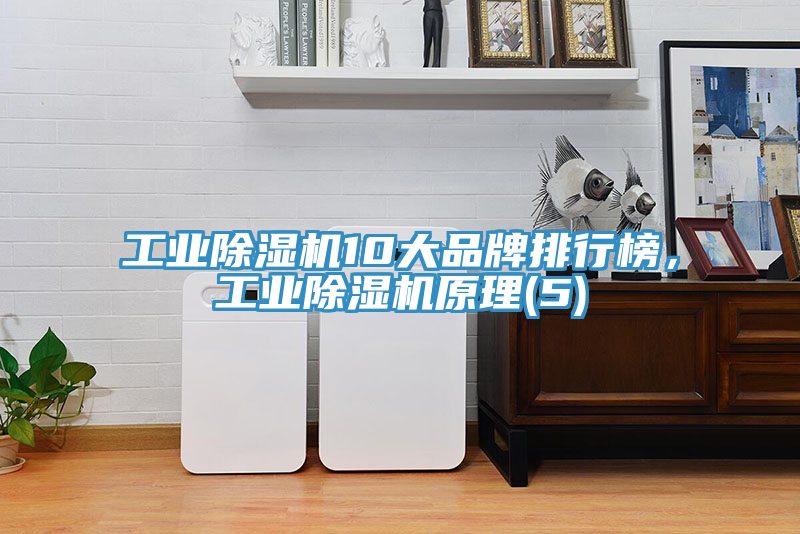 工業(yè)除濕機10大品牌排行榜，工業(yè)除濕機原理(5)