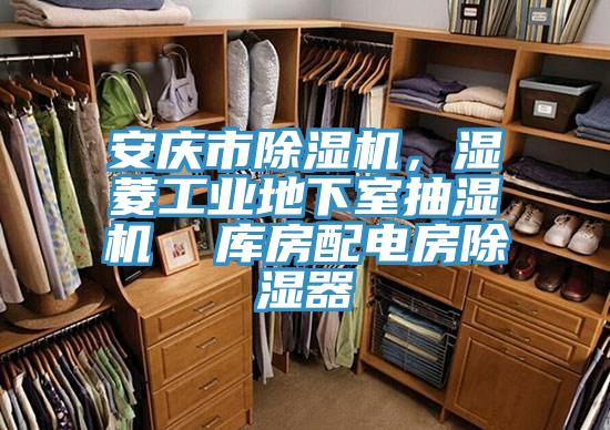 安慶市除濕機，濕菱工業(yè)地下室抽濕機  庫房配電房除濕器
